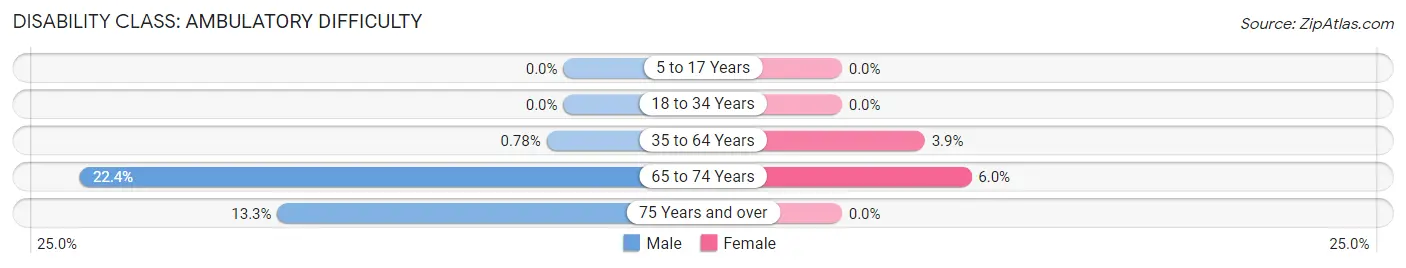 Disability in Timnath: <span>Ambulatory Difficulty</span>