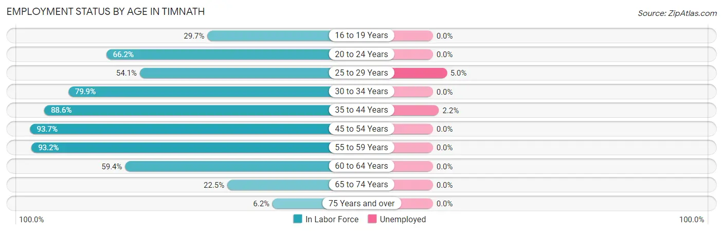 Employment Status by Age in Timnath