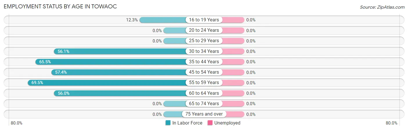 Employment Status by Age in Towaoc