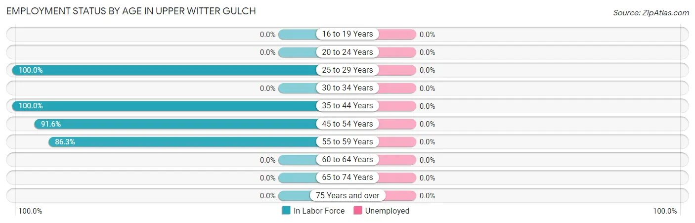 Employment Status by Age in Upper Witter Gulch
