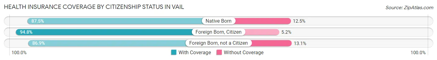 Health Insurance Coverage by Citizenship Status in Vail