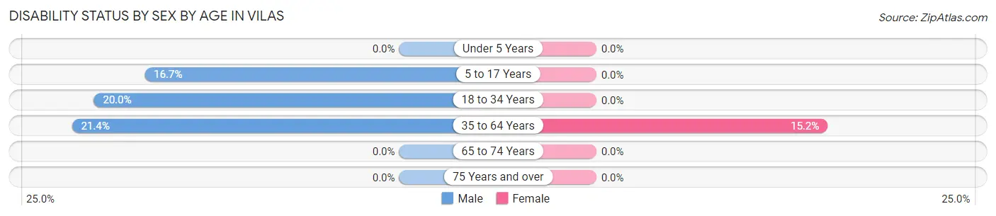 Disability Status by Sex by Age in Vilas
