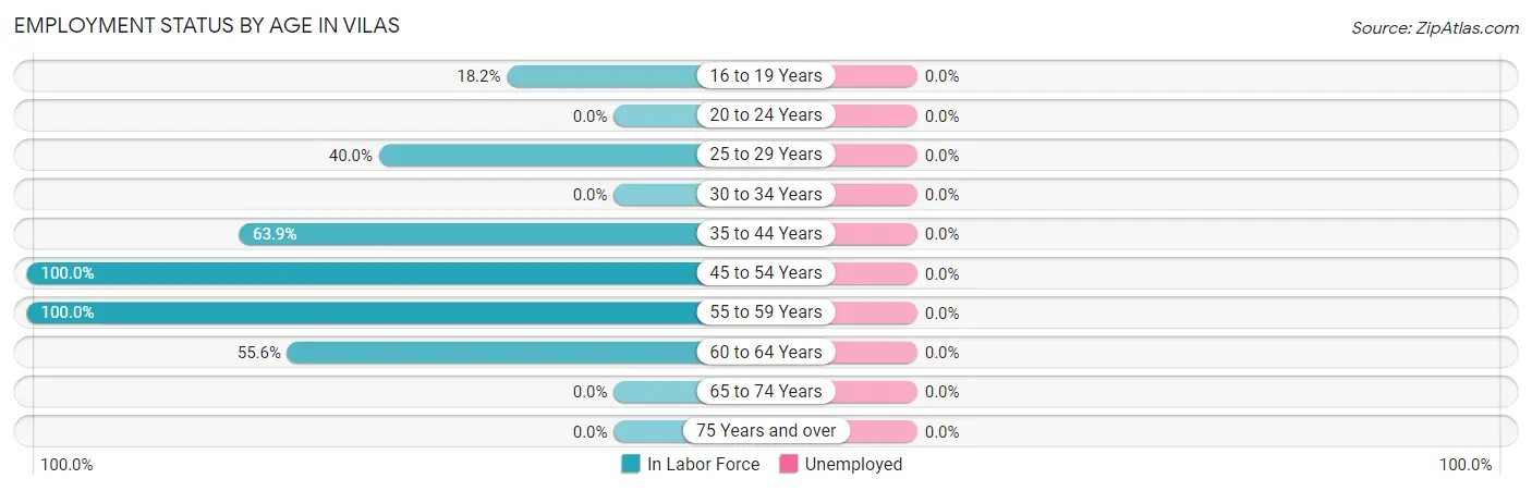 Employment Status by Age in Vilas