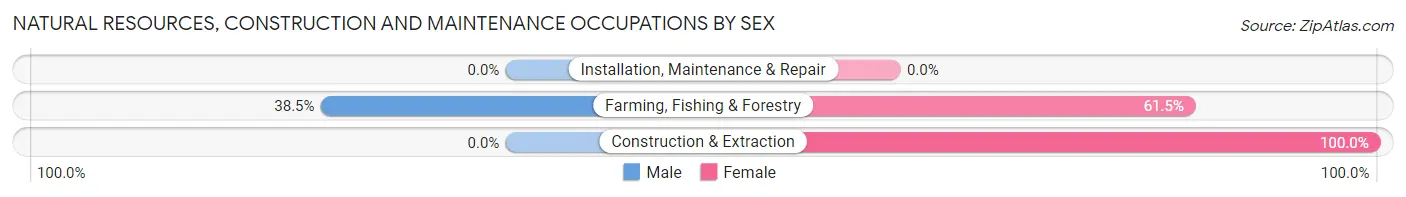 Natural Resources, Construction and Maintenance Occupations by Sex in Vilas