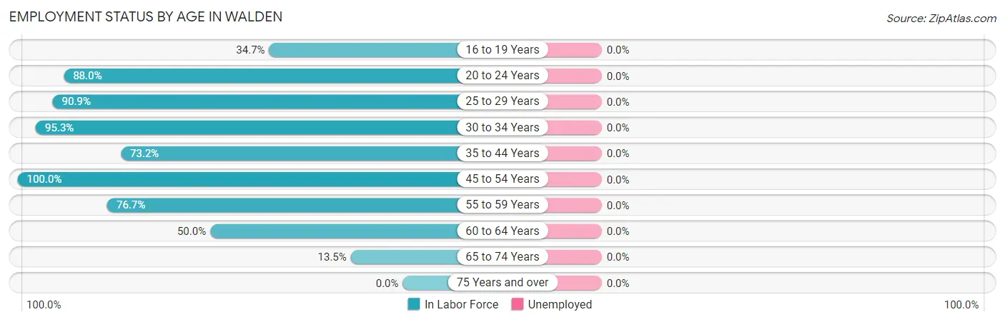 Employment Status by Age in Walden