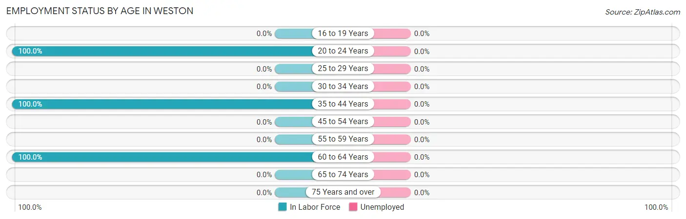 Employment Status by Age in Weston