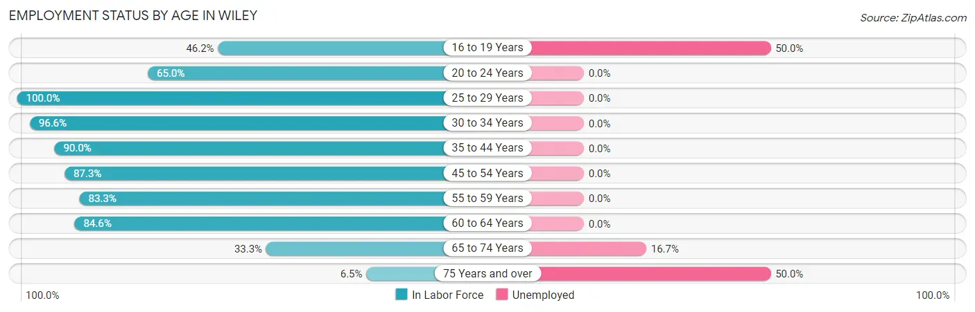 Employment Status by Age in Wiley