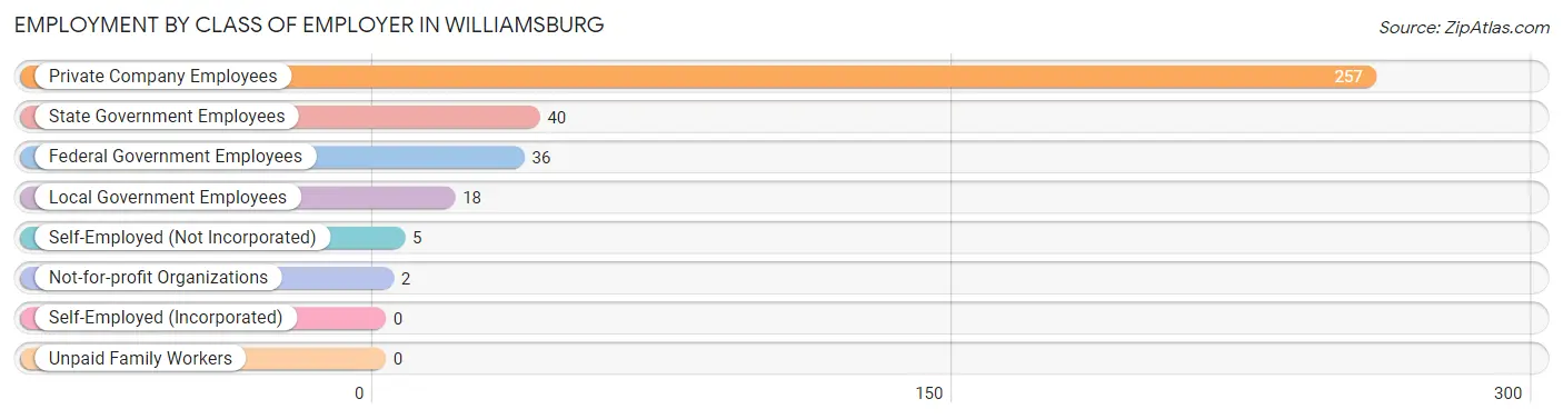 Employment by Class of Employer in Williamsburg