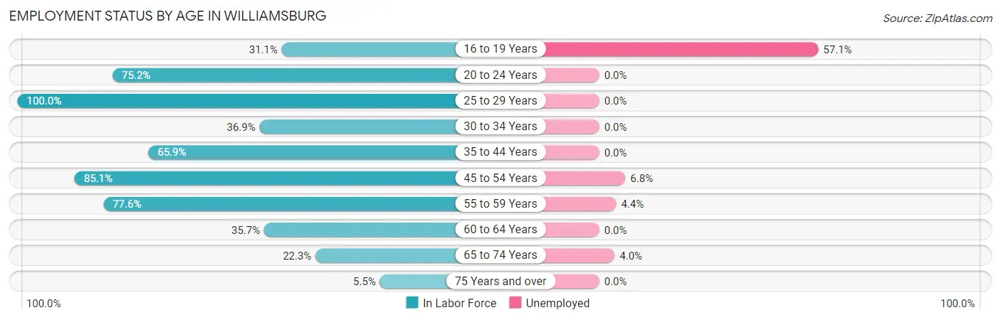 Employment Status by Age in Williamsburg