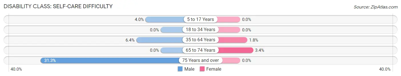 Disability in Williamsburg: <span>Self-Care Difficulty</span>