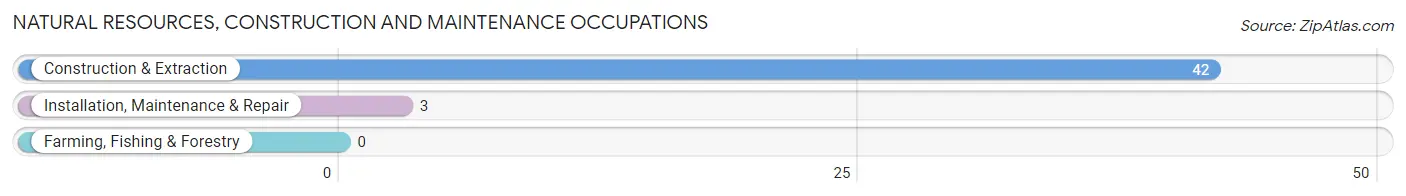 Natural Resources, Construction and Maintenance Occupations in Blue Hills