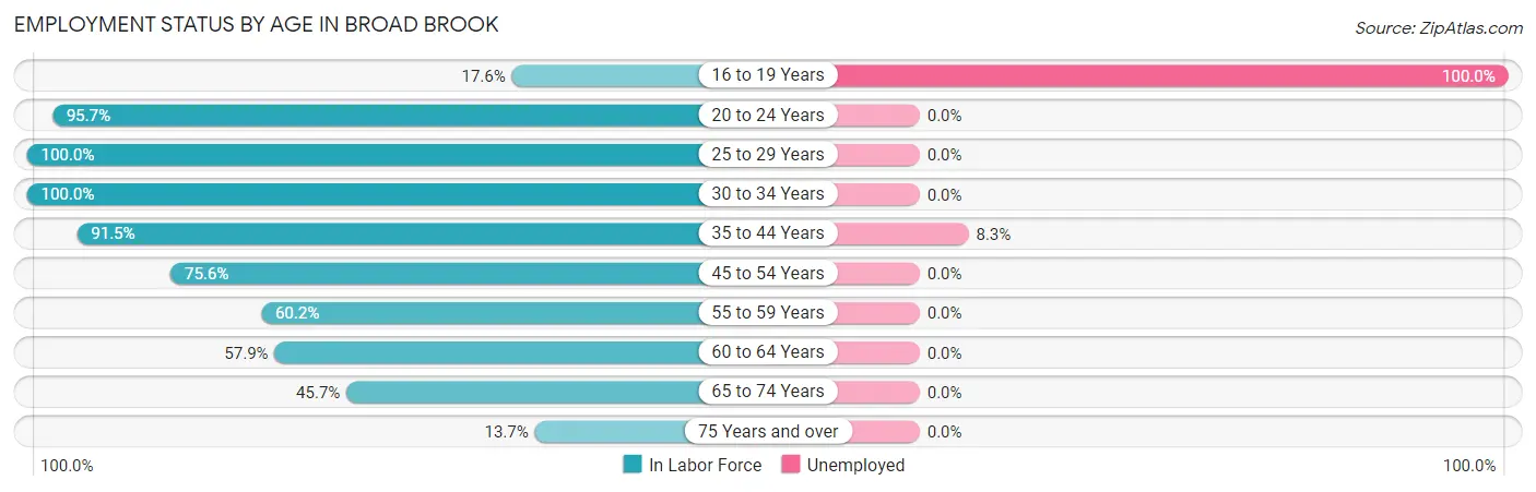 Employment Status by Age in Broad Brook