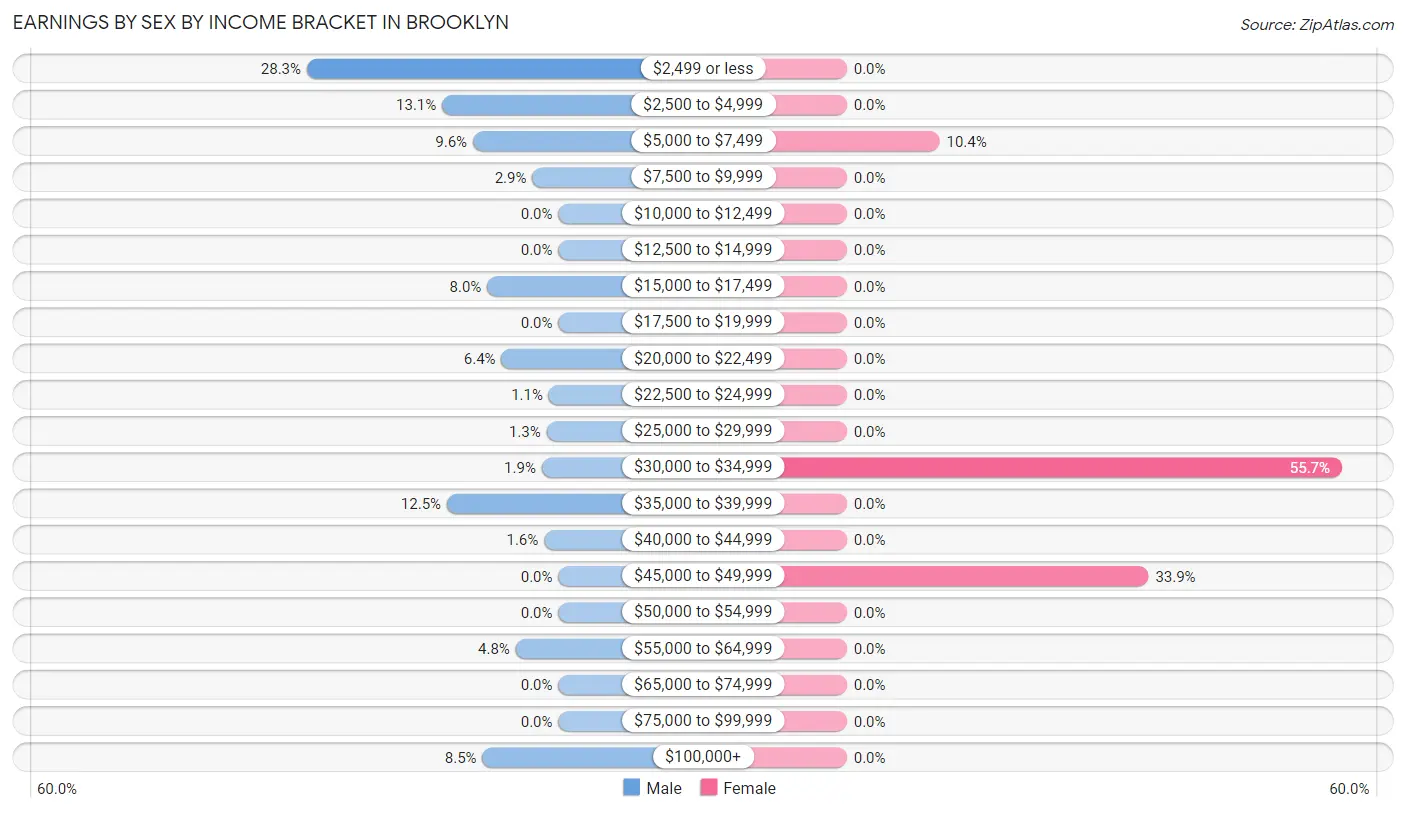 Earnings by Sex by Income Bracket in Brooklyn