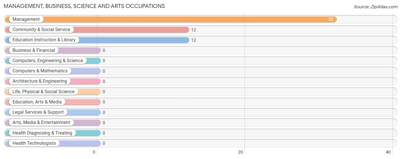 Management, Business, Science and Arts Occupations in Brooklyn