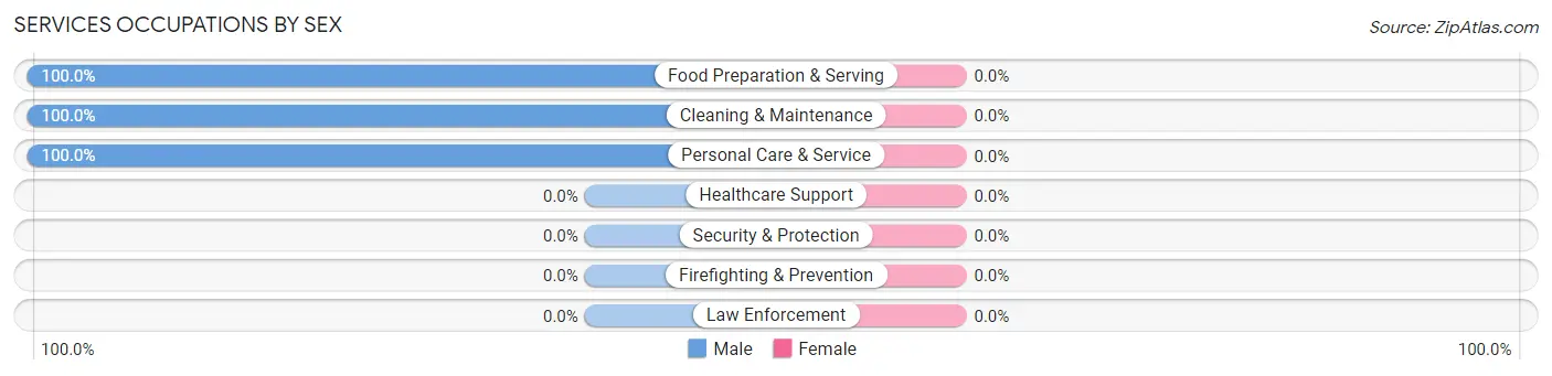 Services Occupations by Sex in Brooklyn