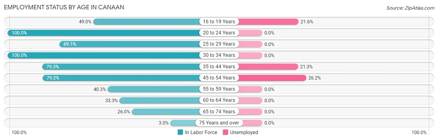 Employment Status by Age in Canaan