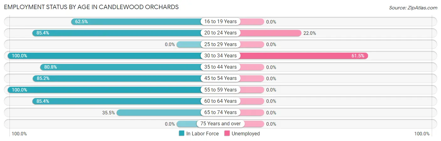Employment Status by Age in Candlewood Orchards