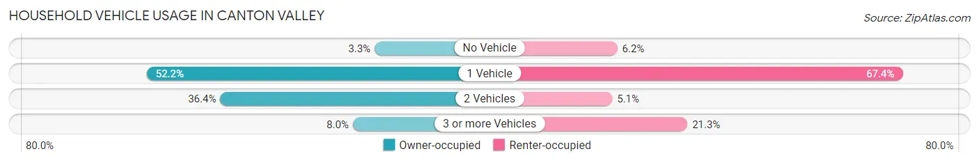 Household Vehicle Usage in Canton Valley