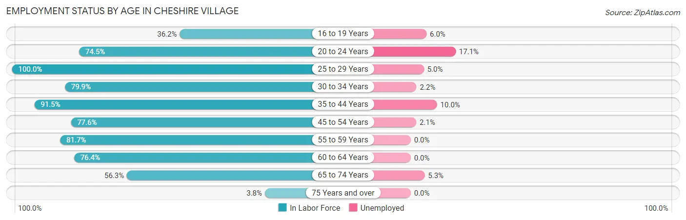 Employment Status by Age in Cheshire Village