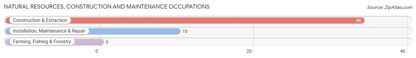 Natural Resources, Construction and Maintenance Occupations in Georgetown