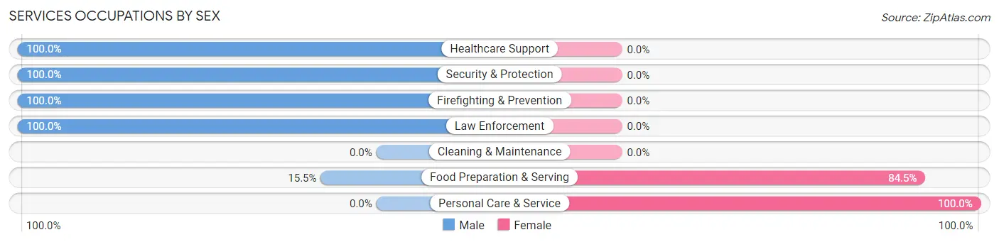 Services Occupations by Sex in Higganum