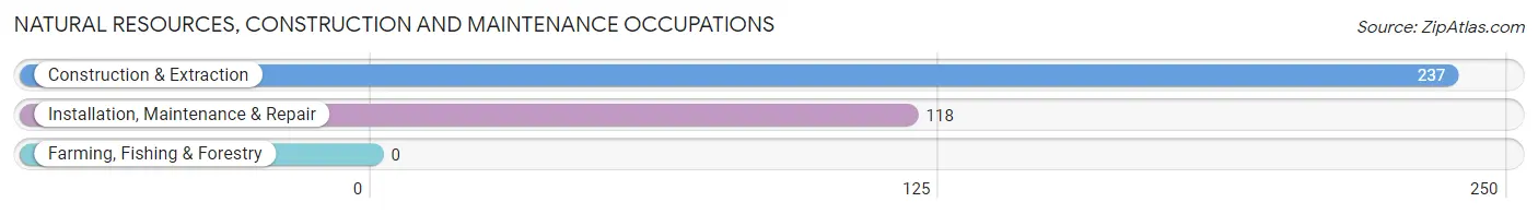 Natural Resources, Construction and Maintenance Occupations in Kensington