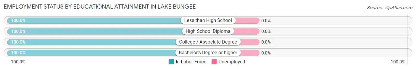 Employment Status by Educational Attainment in Lake Bungee