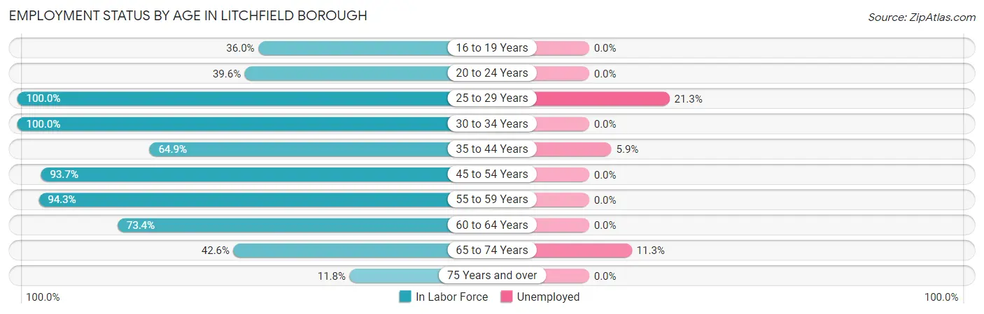 Employment Status by Age in Litchfield borough