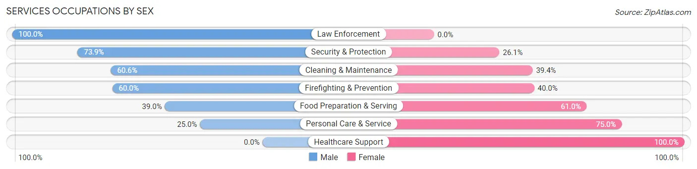 Services Occupations by Sex in Litchfield borough