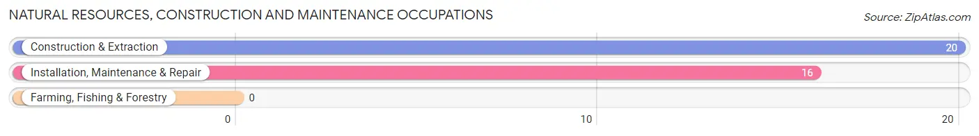 Natural Resources, Construction and Maintenance Occupations in Plantsville