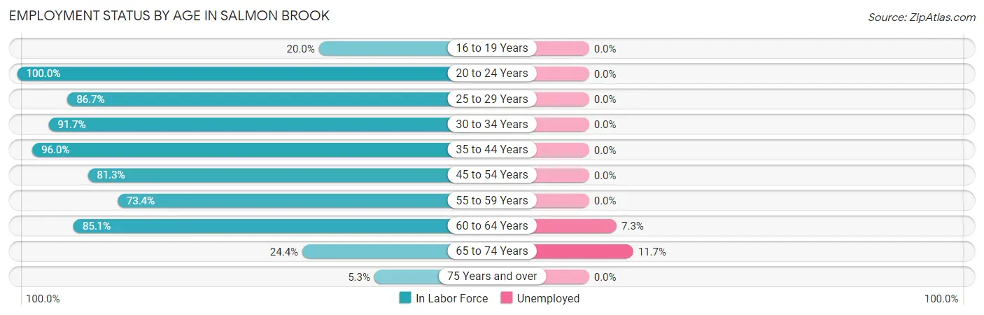 Employment Status by Age in Salmon Brook