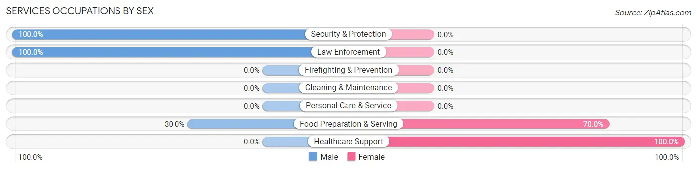 Services Occupations by Sex in Salmon Brook