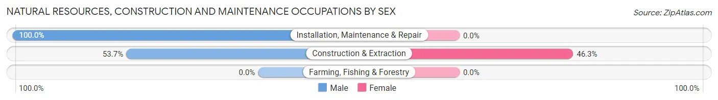 Natural Resources, Construction and Maintenance Occupations by Sex in Simsbury Center