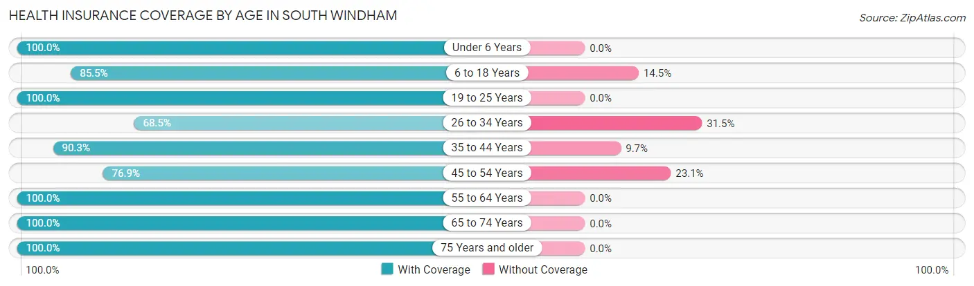 Health Insurance Coverage by Age in South Windham