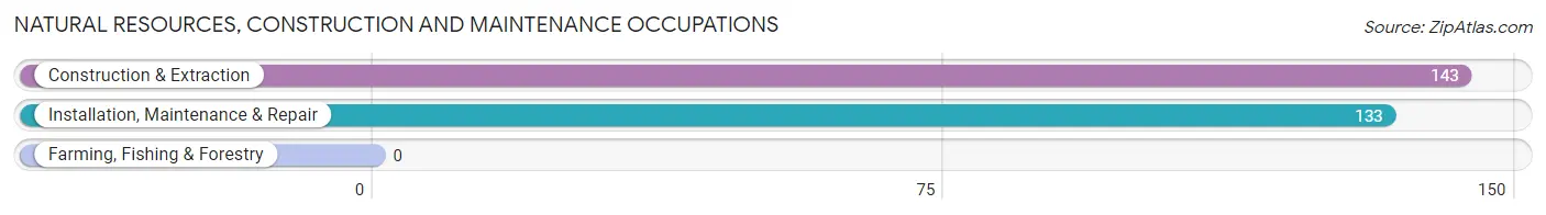 Natural Resources, Construction and Maintenance Occupations in Southwood Acres