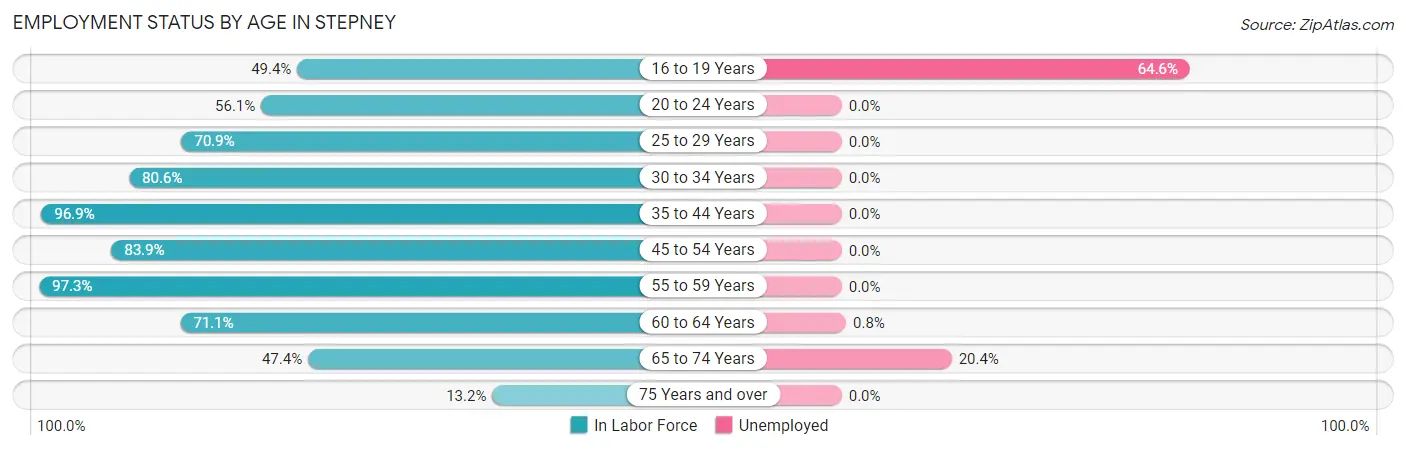 Employment Status by Age in Stepney