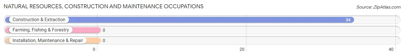 Natural Resources, Construction and Maintenance Occupations in Thomaston