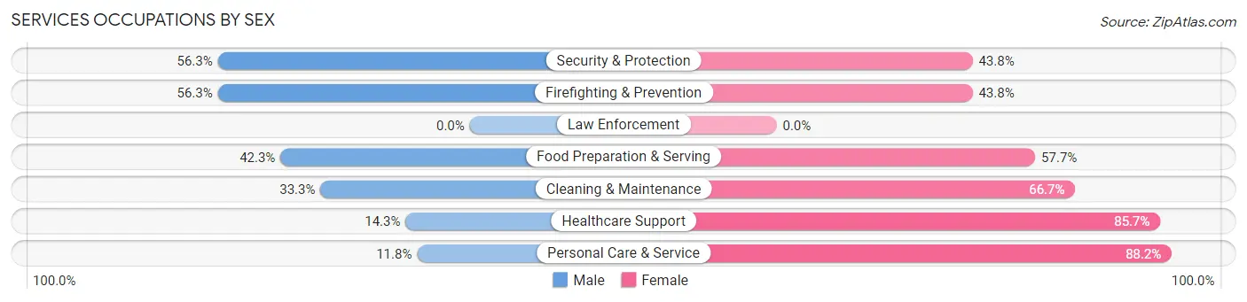 Services Occupations by Sex in Winsted