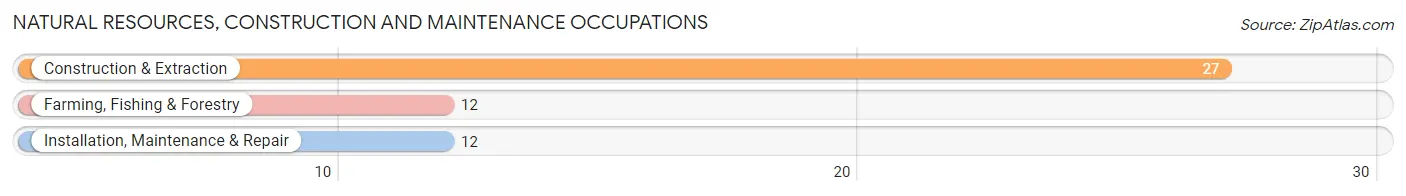 Natural Resources, Construction and Maintenance Occupations in Houston