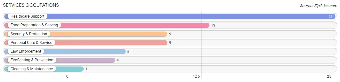 Services Occupations in Houston