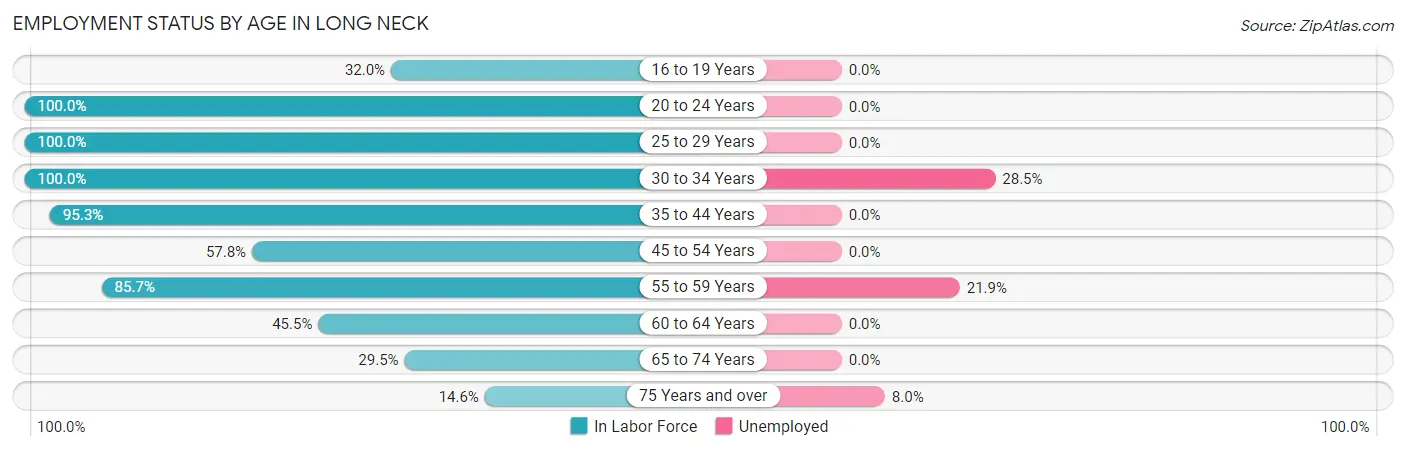 Employment Status by Age in Long Neck