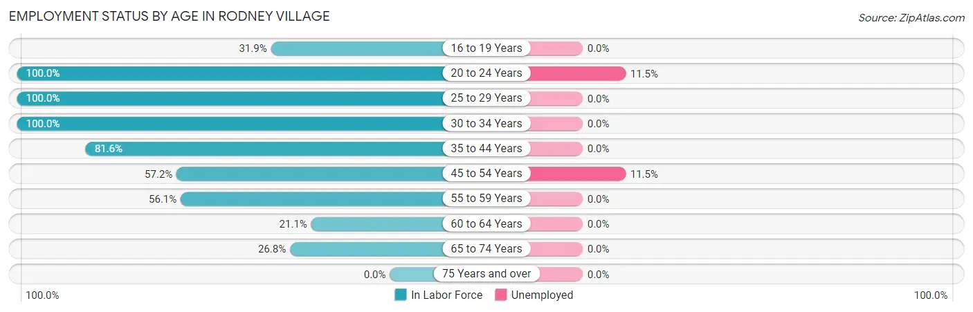 Employment Status by Age in Rodney Village