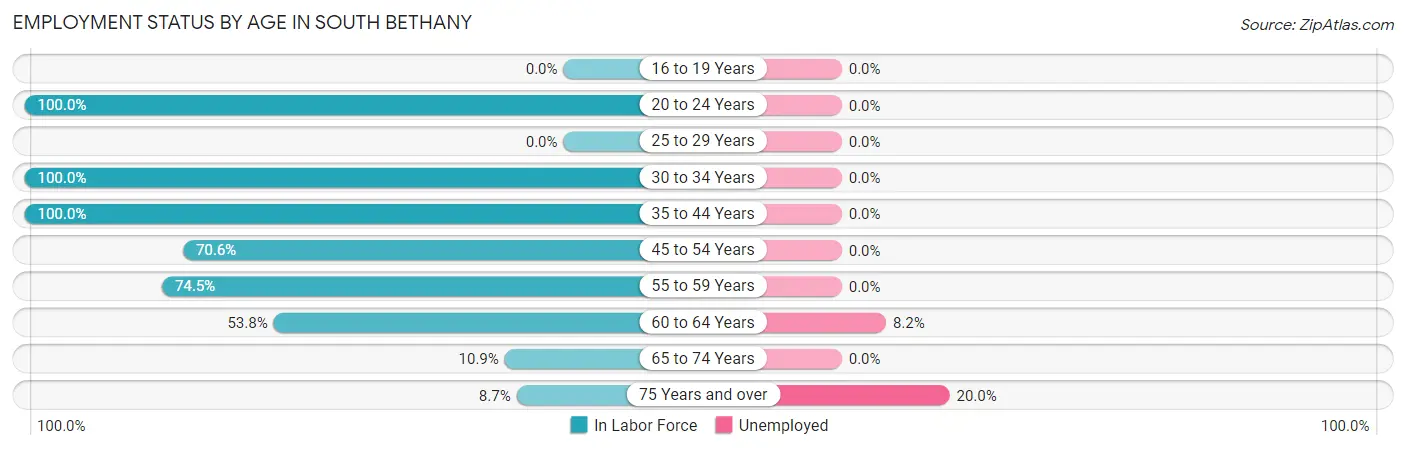Employment Status by Age in South Bethany