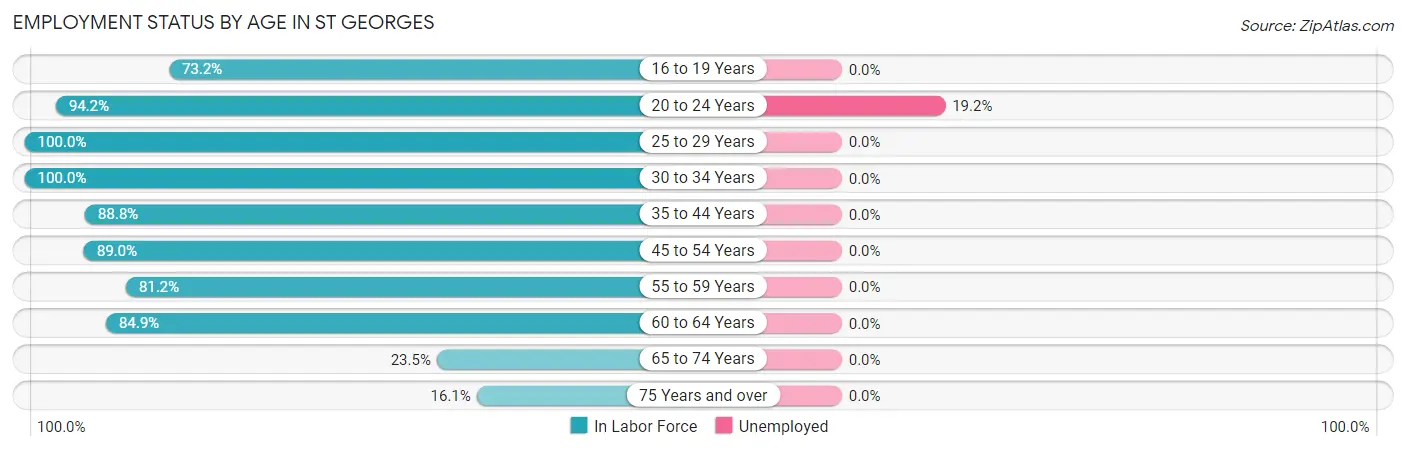 Employment Status by Age in St Georges