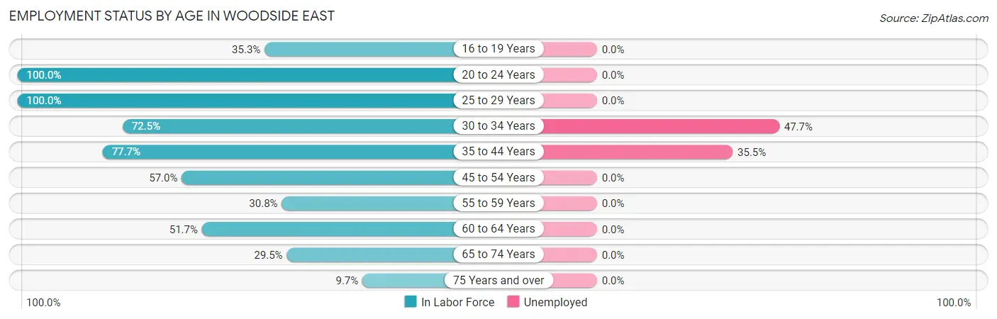 Employment Status by Age in Woodside East
