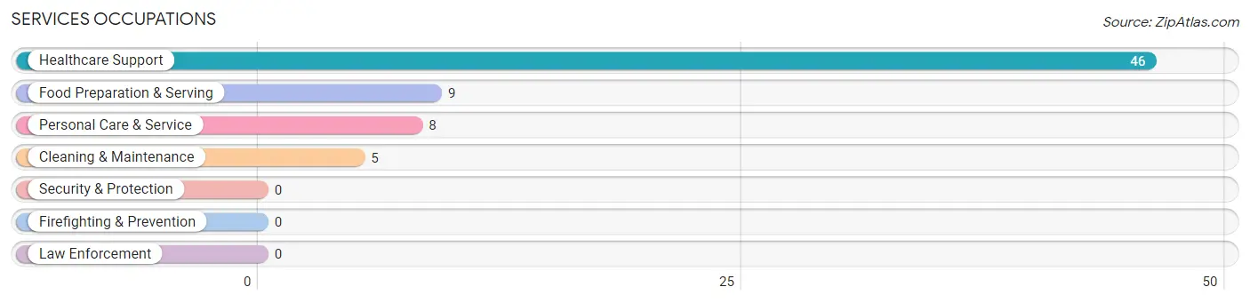 Services Occupations in Anna Maria