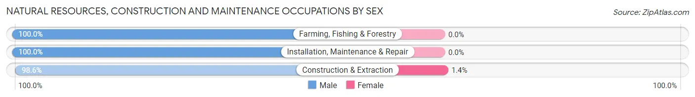 Natural Resources, Construction and Maintenance Occupations by Sex in Arcadia