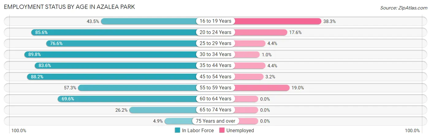 Employment Status by Age in Azalea Park