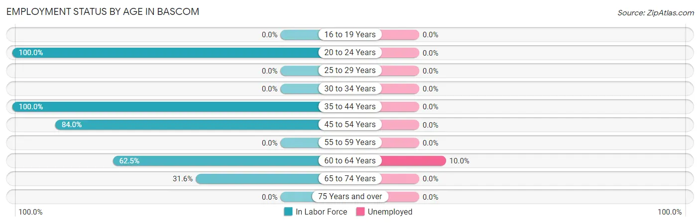 Employment Status by Age in Bascom