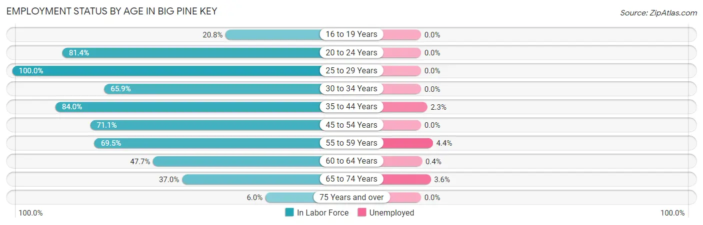 Employment Status by Age in Big Pine Key